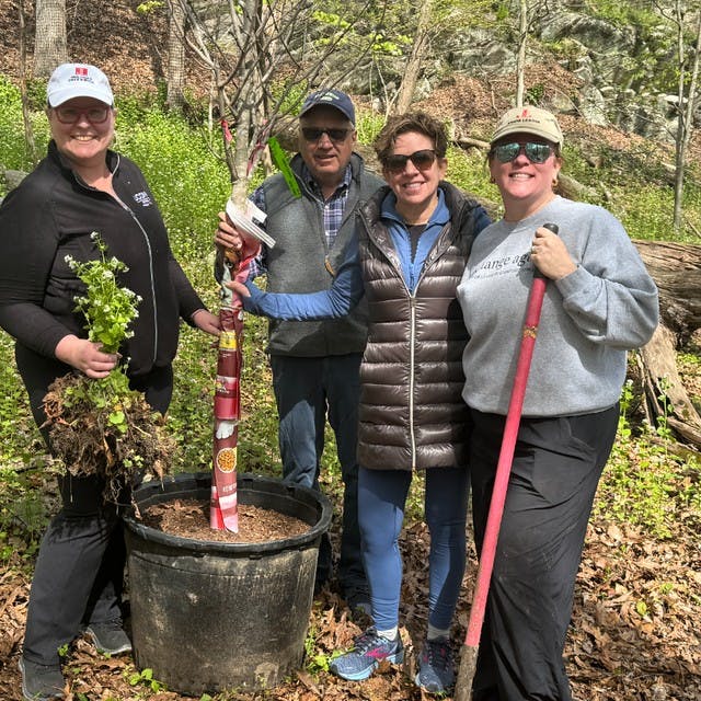 Mianus River Park Earth Day Beautification