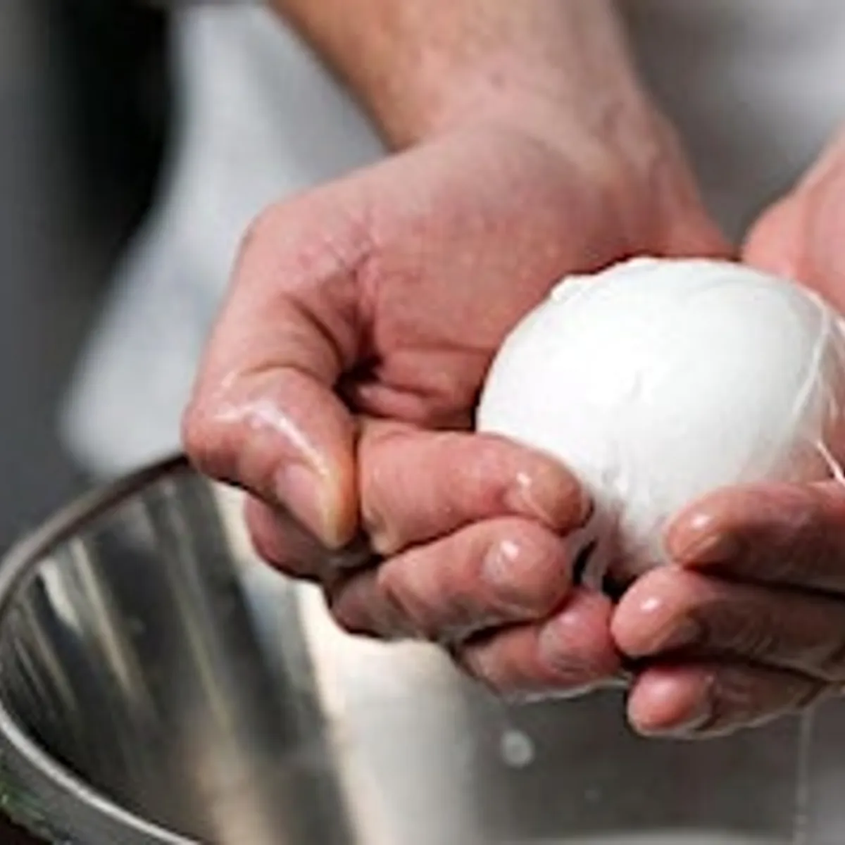 Hands-On: Mozzarella