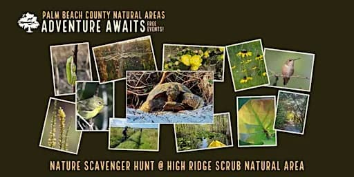 Adventure Awaits - Nature Scavenger Hunt @ High Ridge Scrub