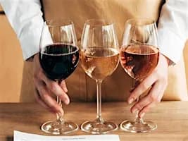 Uncorked: Volcanic Soils