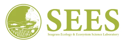 Why Seagrass Matters: The Indian River Lagoon Stor