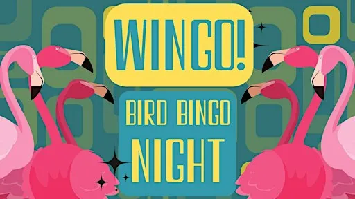 WINGO: A Bird Bingo Night