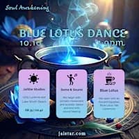 The Blue Lotus Experience