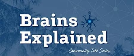Brains Explained