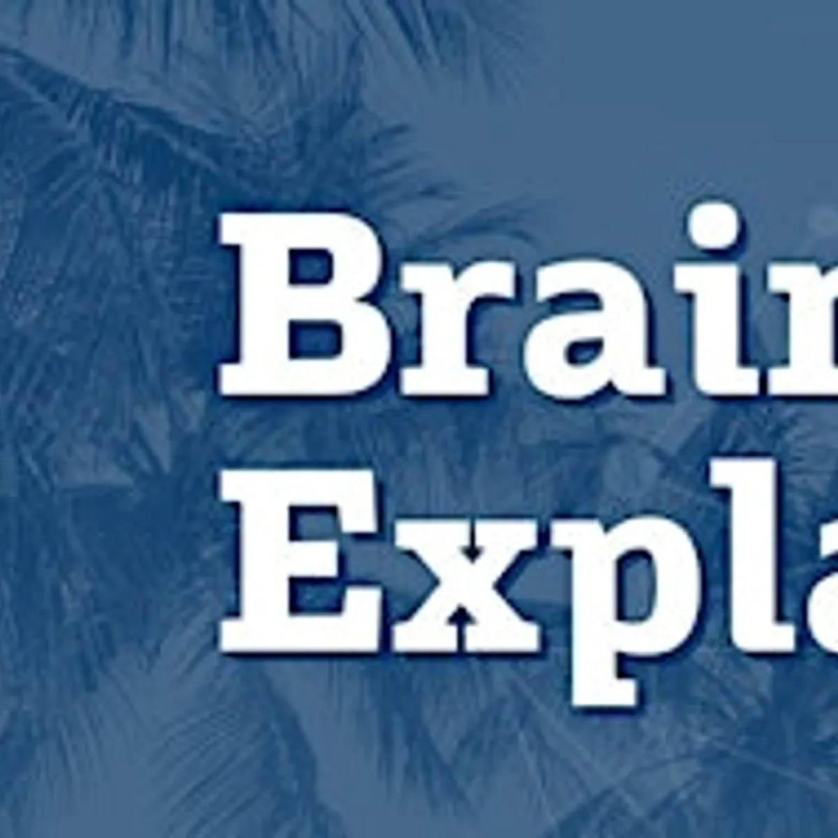 Brains Explained