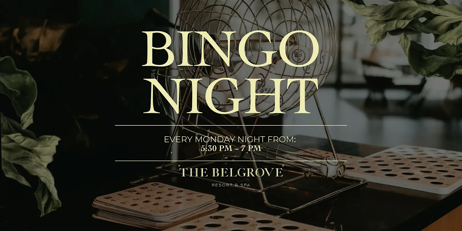 Bingo Night at The Belgrove