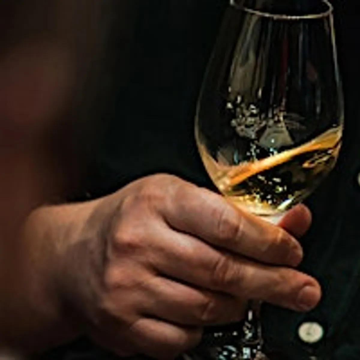 The Art of Pairing: Silver Oak Wine Release