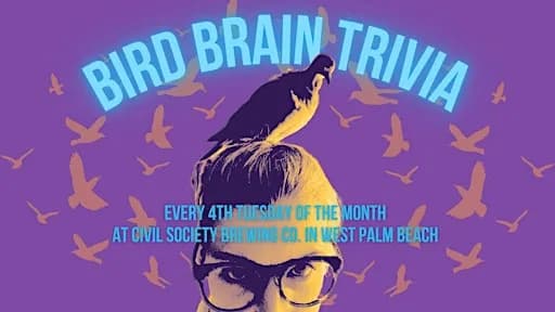 Bird Brain Trivia Night