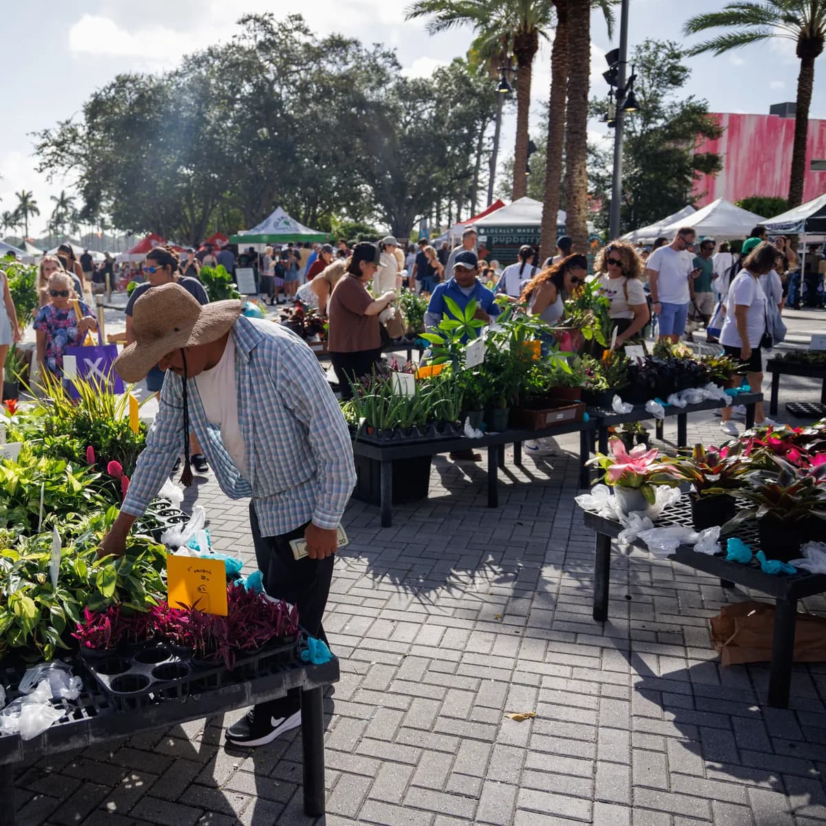 City of West Palm Beach GreenMarket