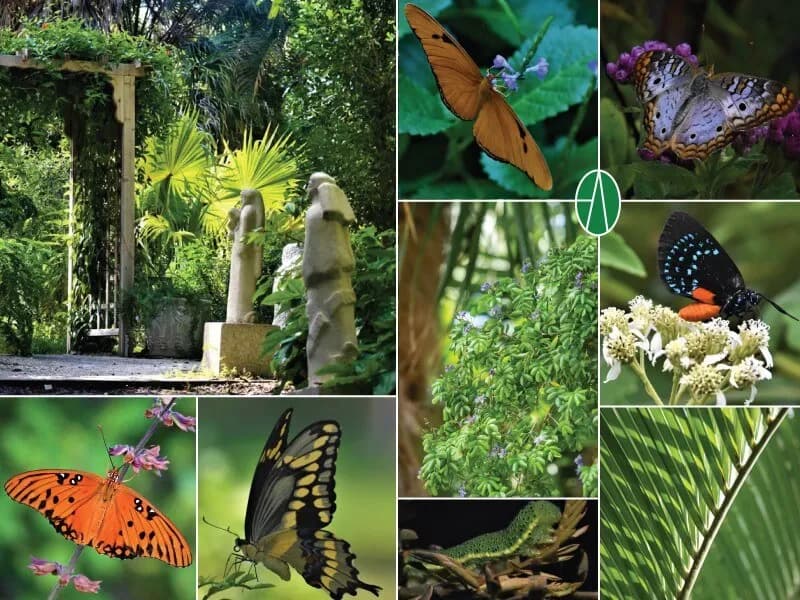 Master Gardener Tour with CJ McCartney