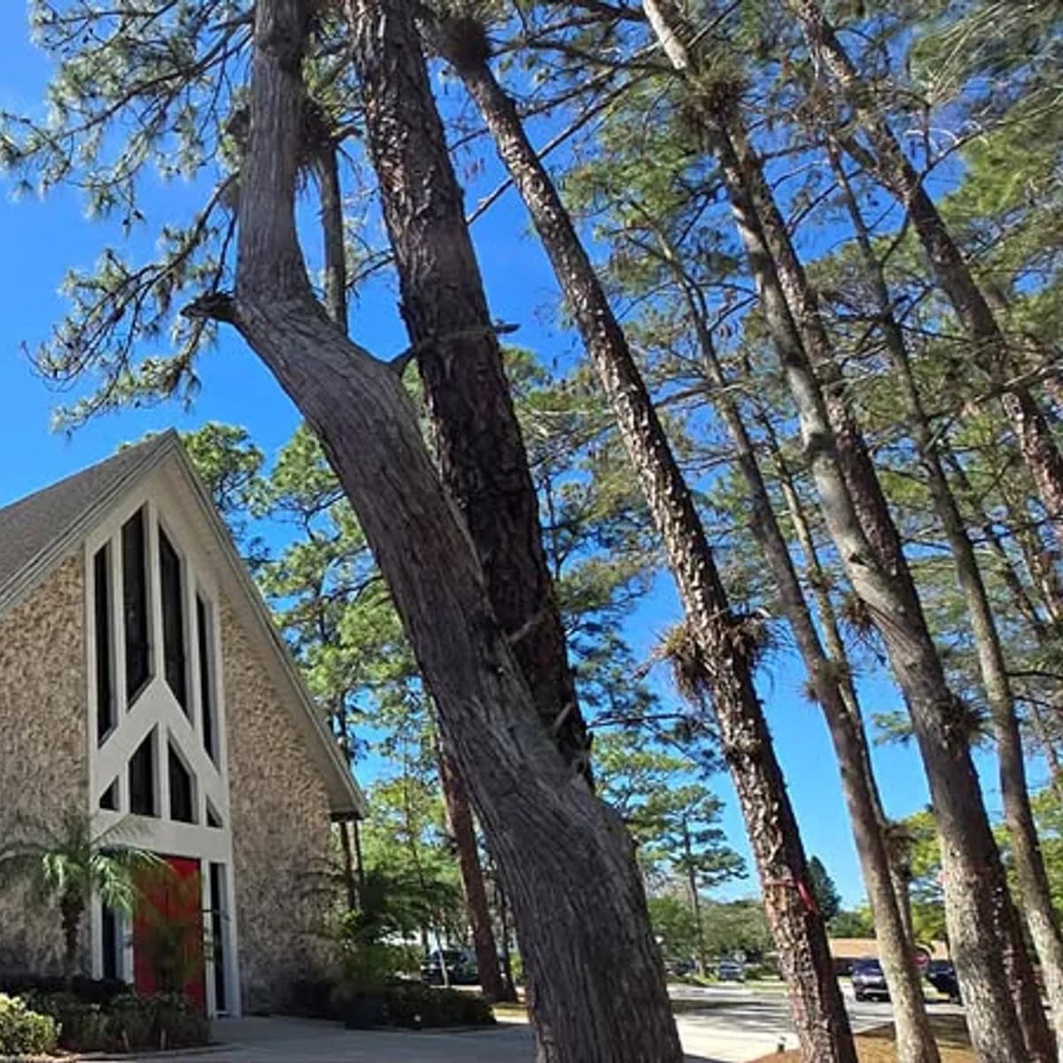 St. David's In the Pines: Fall Blood Drive
