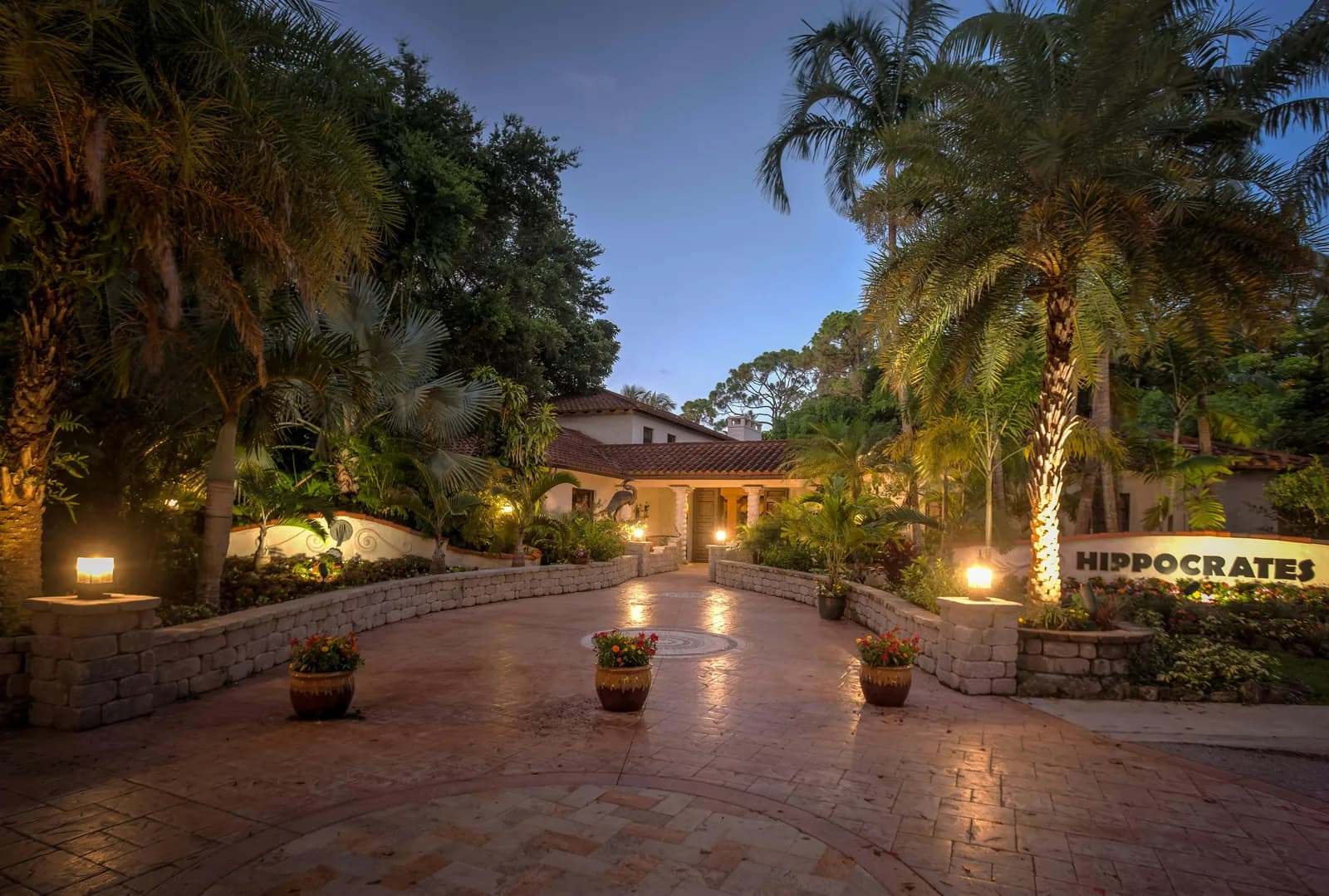 Hippocrates Wellness: An Evening Experience