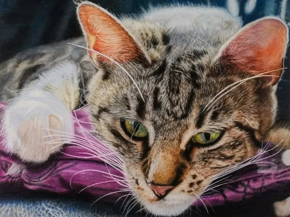 Workshop | Colored Pencil Drawing & Painting 4-Week