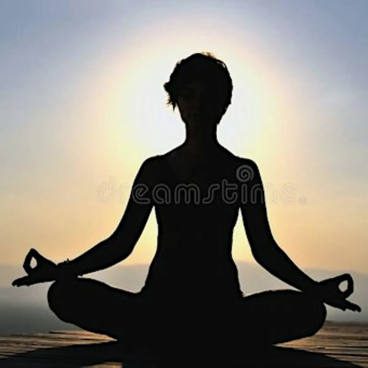 Donation Based Vinyasa Yoga