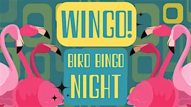 WINGO: A Bird Bingo Night