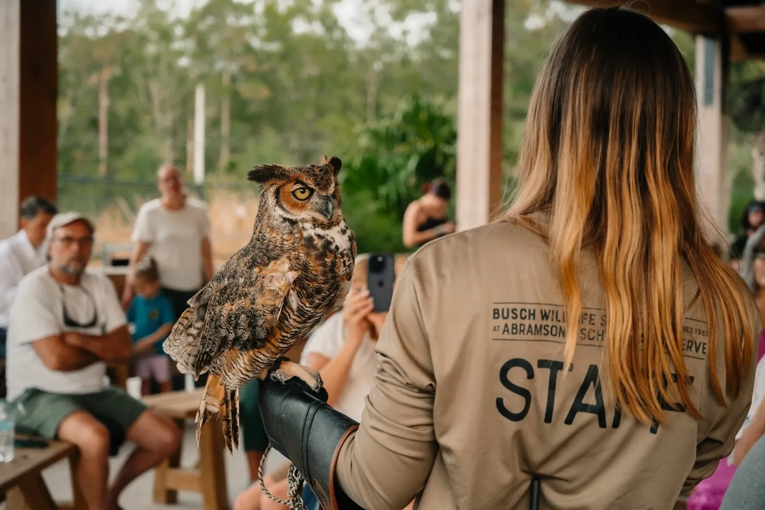 Wine Down with Wildlife: All About Owls