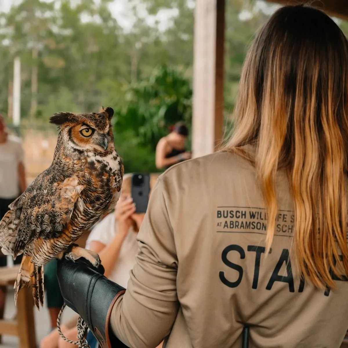 Wine Down with Wildlife: All About Owls
