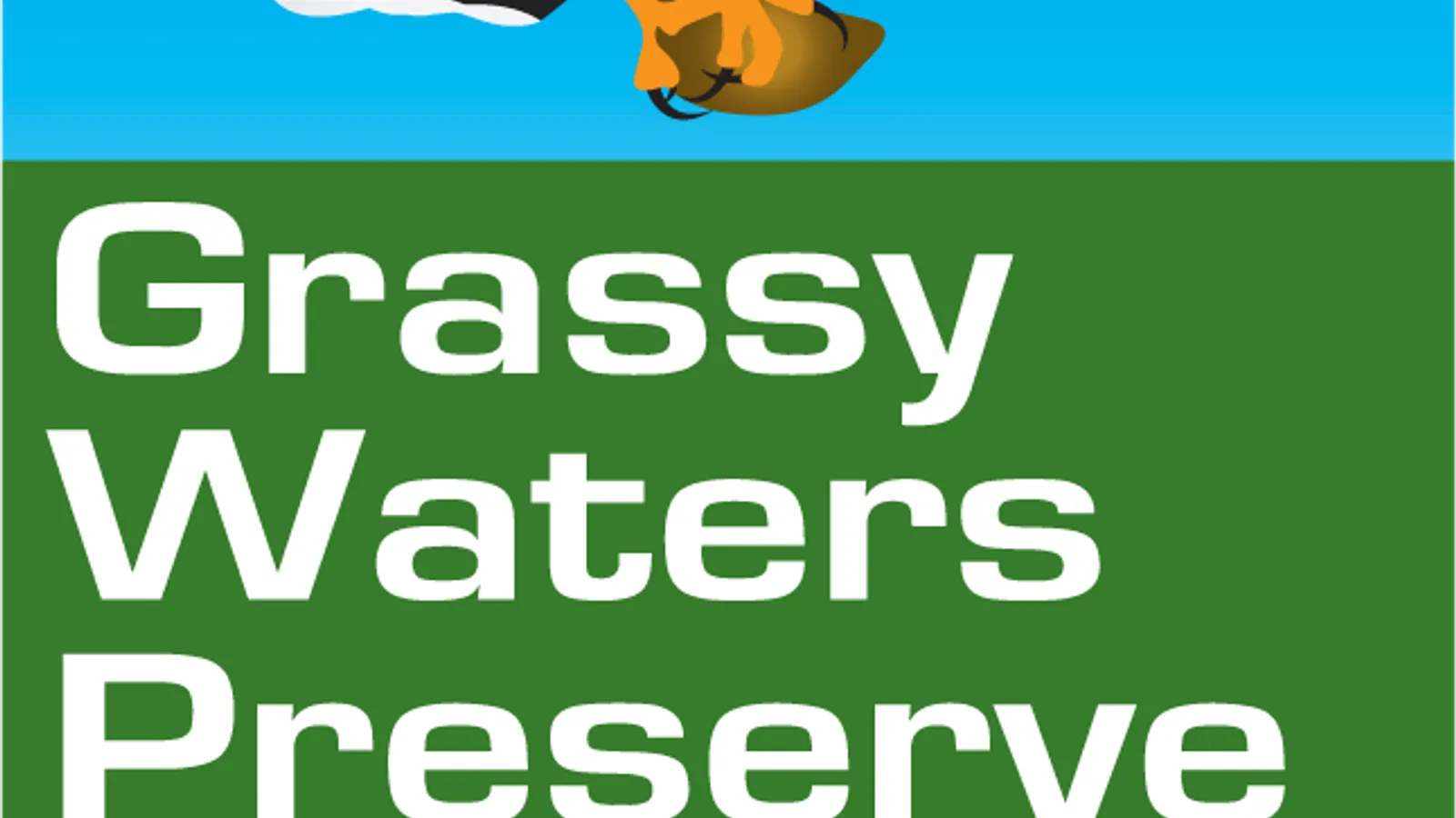 The Everglades: Pop-Up Discovery with Grassy Waters