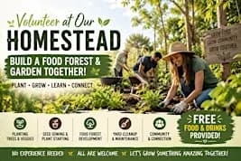 Homestead Volunteer Day – Help Build a Food Forest!