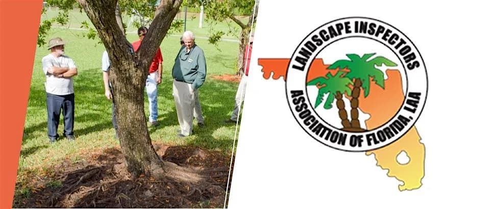 Palm Beach Chapter LIAF - Tree Trimmer