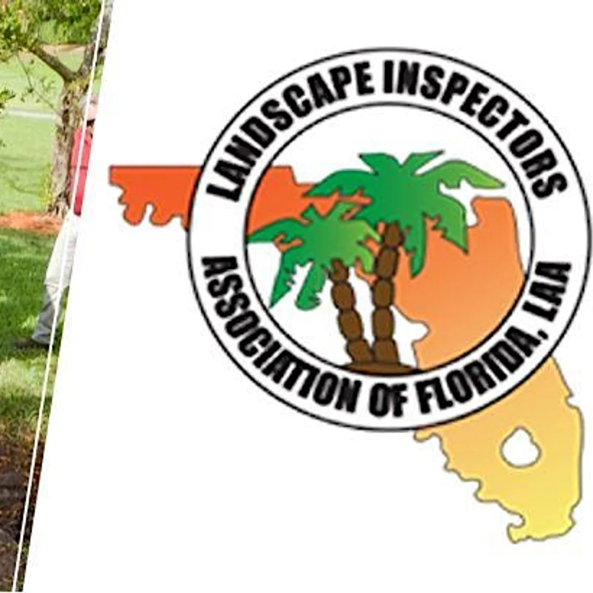 Palm Beach Chapter LIAF - Tree Trimmer