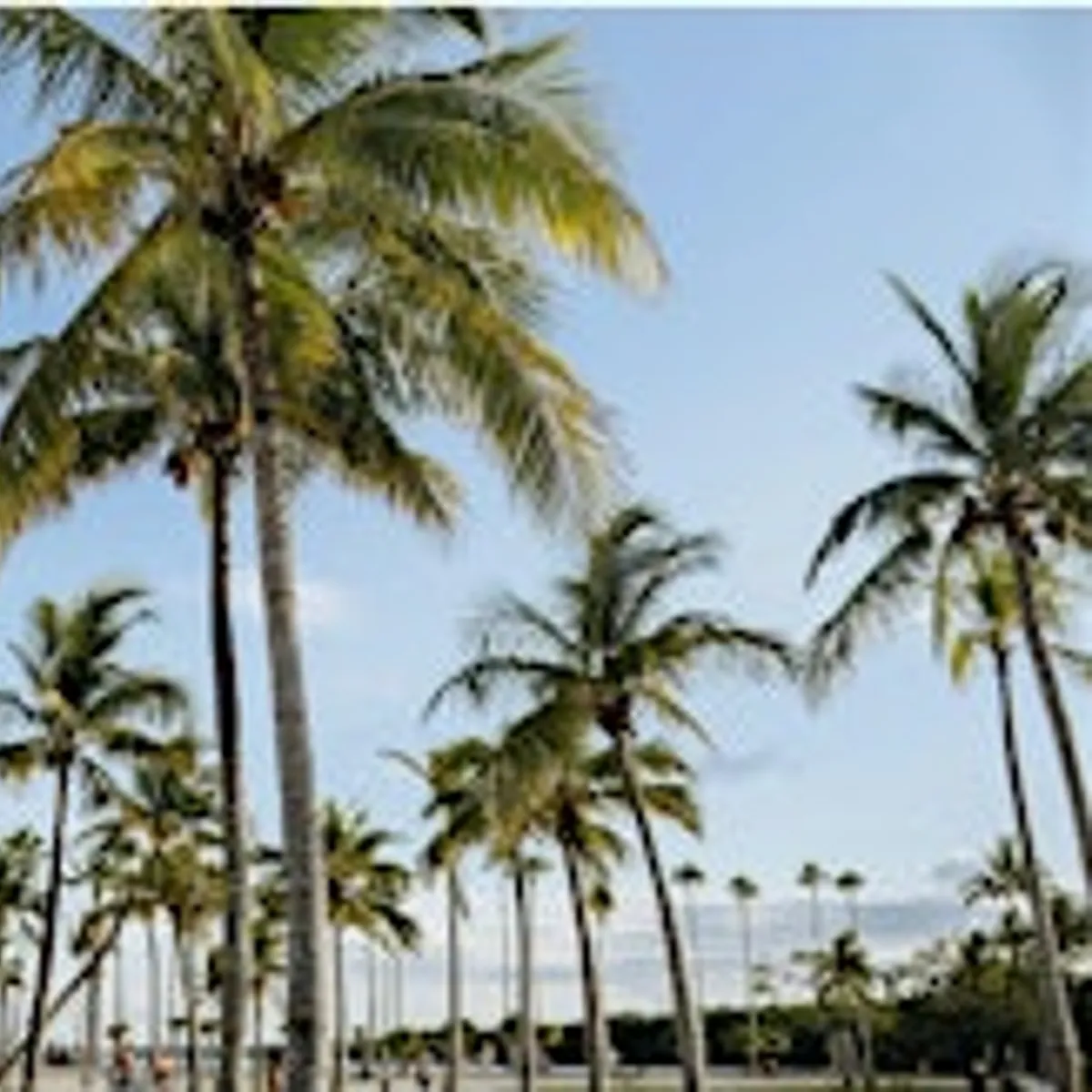Become a Certified End-of-Life Doula | South Florida In-Person Training