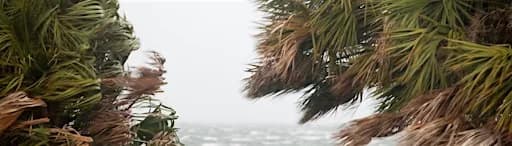 Hurricane Preparation Workshop for Landscapers/Arborists