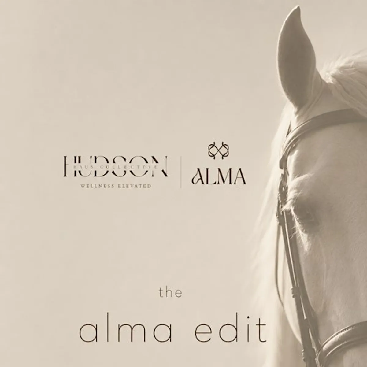 The Alma Edit - A Hudson Haus Collective Pilates & Wellness Experience