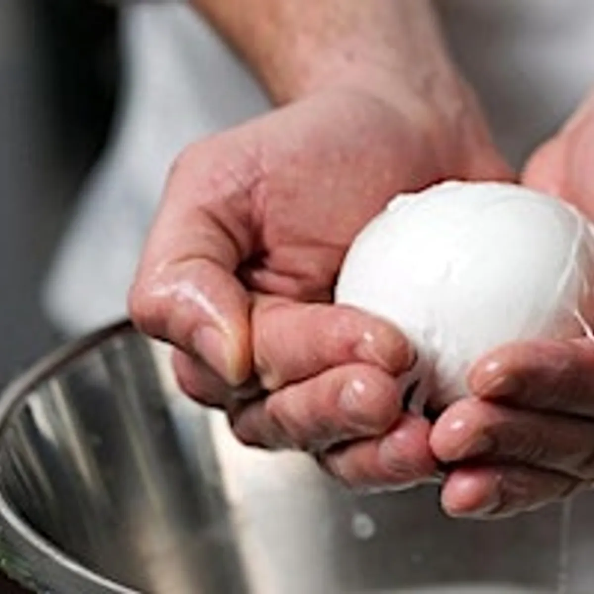 Hands-On: Mozzarella