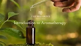 Feel Good Fridays: Introduction to Aromatherapy