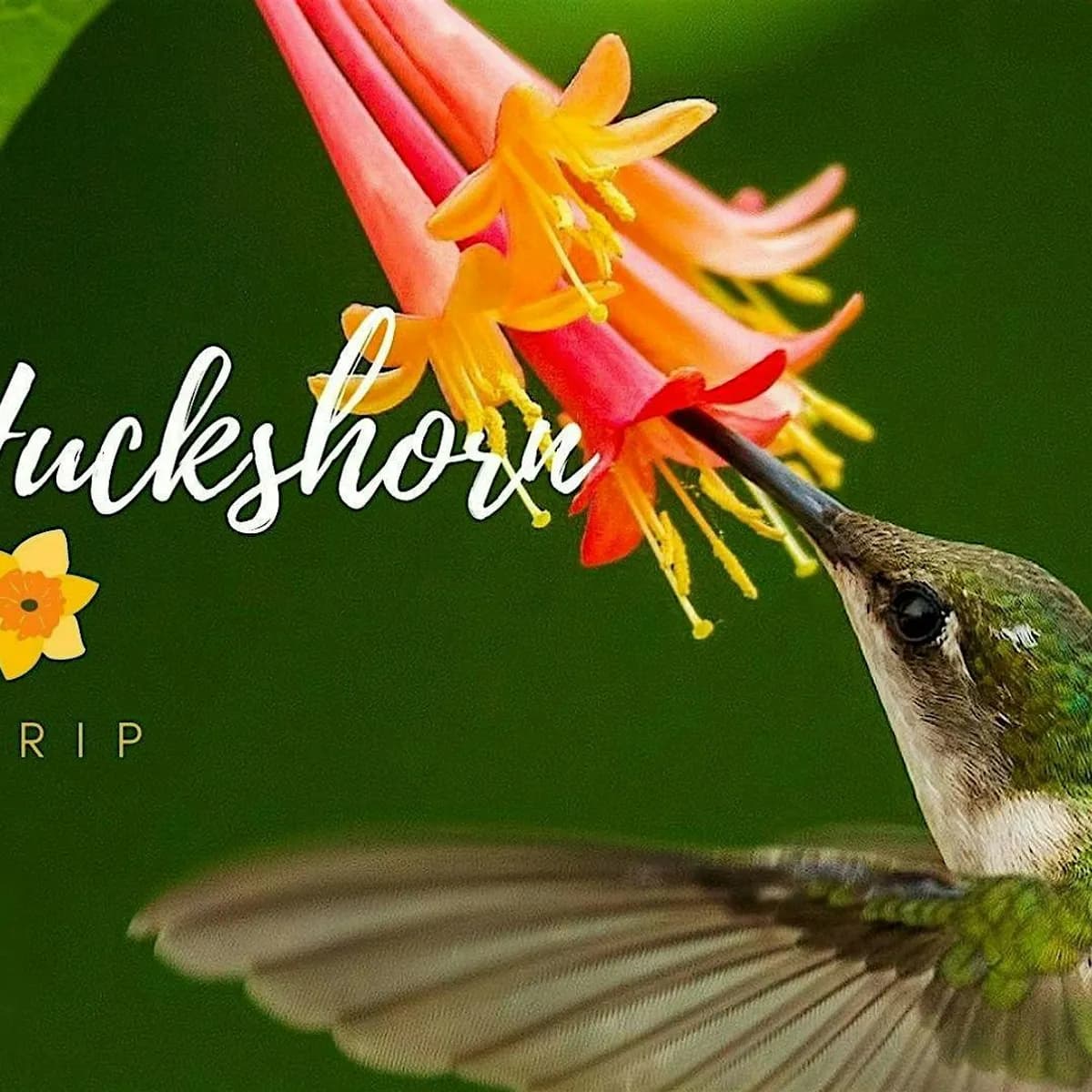 Coffee+Birds: A Fall Bird Walk at the Arboretum