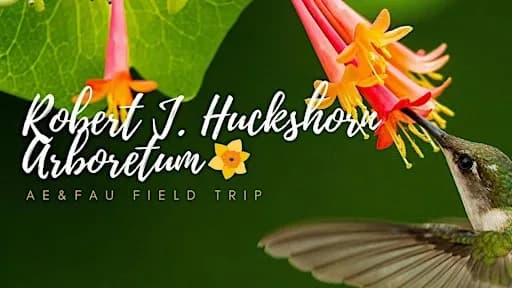 Coffee+Birds: A Fall Bird Walk at the Arboretum