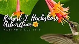 Coffee+Birds: A Fall Bird Walk at the Arboretum
