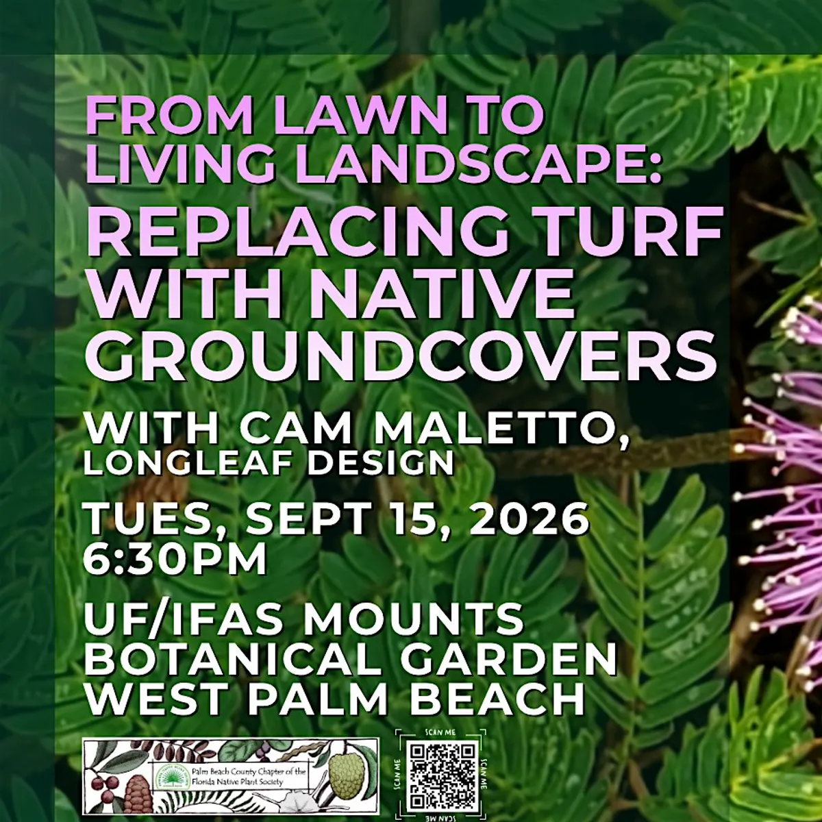 From Lawn to Living Landscape: Replacing Turf with Native Groundcovers