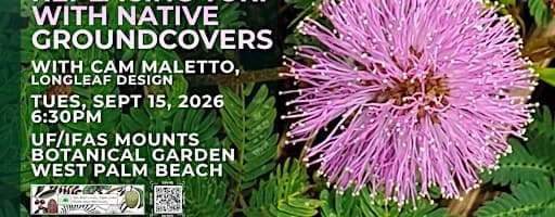From Lawn to Living Landscape: Replacing Turf with Native Groundcovers