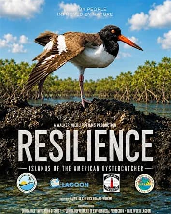 Resilience Film Premiere & Art Showcase