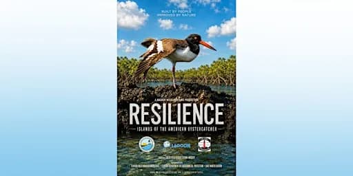 Resilience Film Premiere & Art Showcase