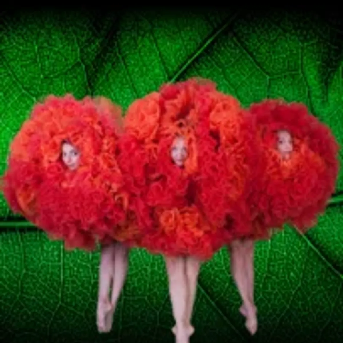 MOMIX BOTANICA