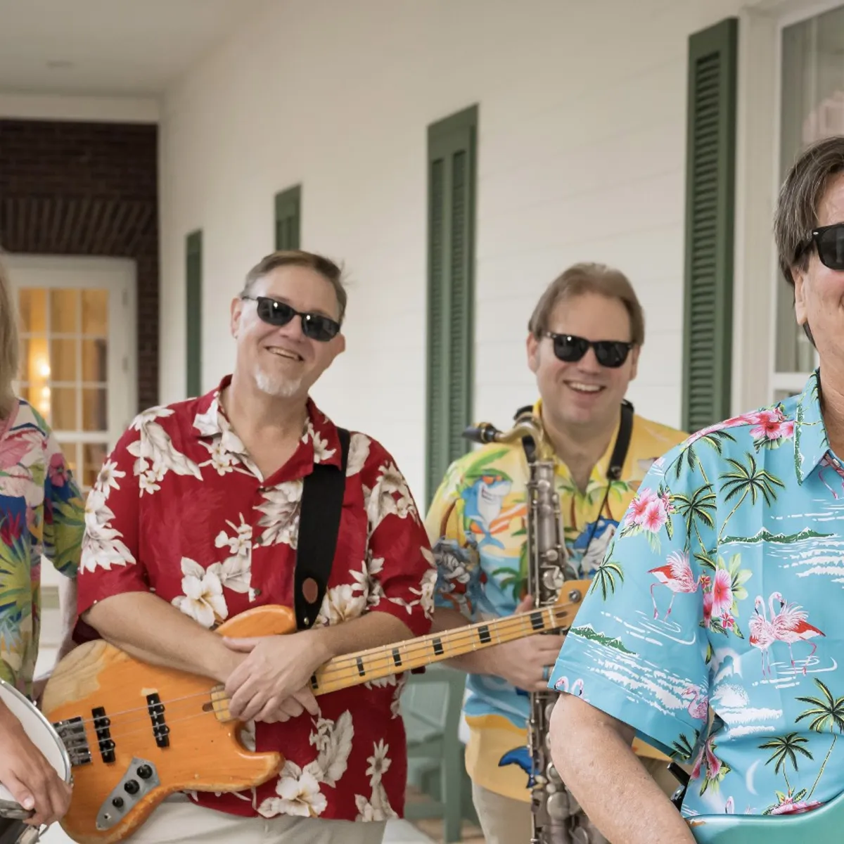 Clematis by Night: The Landsharks Band