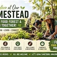 Homestead Volunteer Day – Help Build a Food Forest!