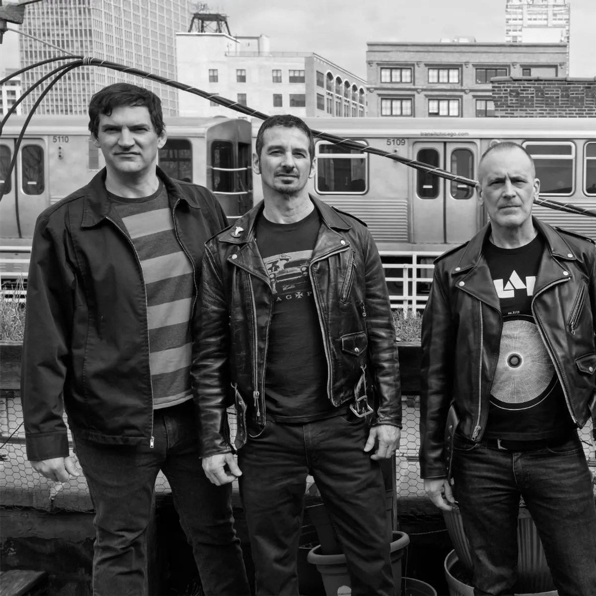 Screeching Weasel