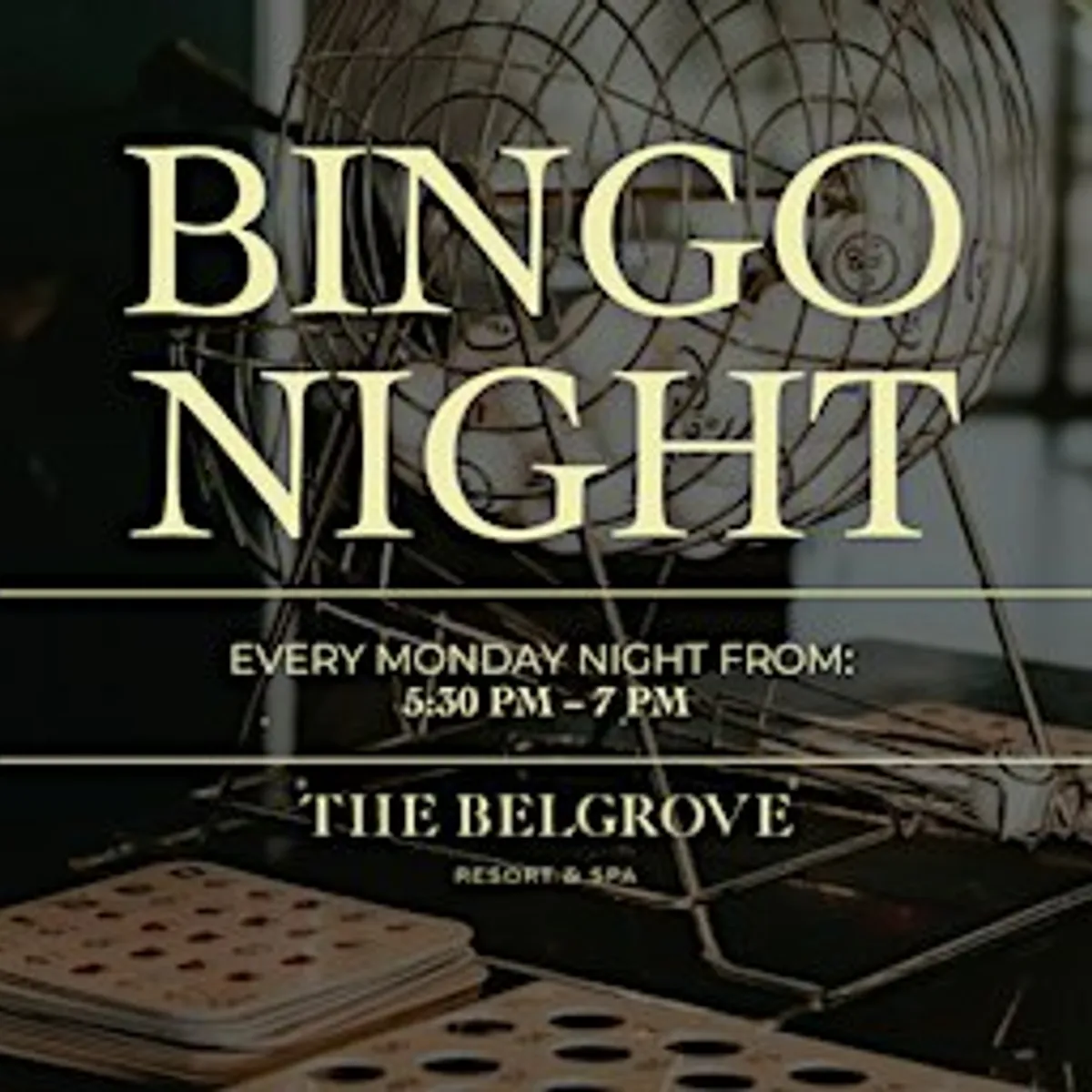 Bingo Night at The Belgrove