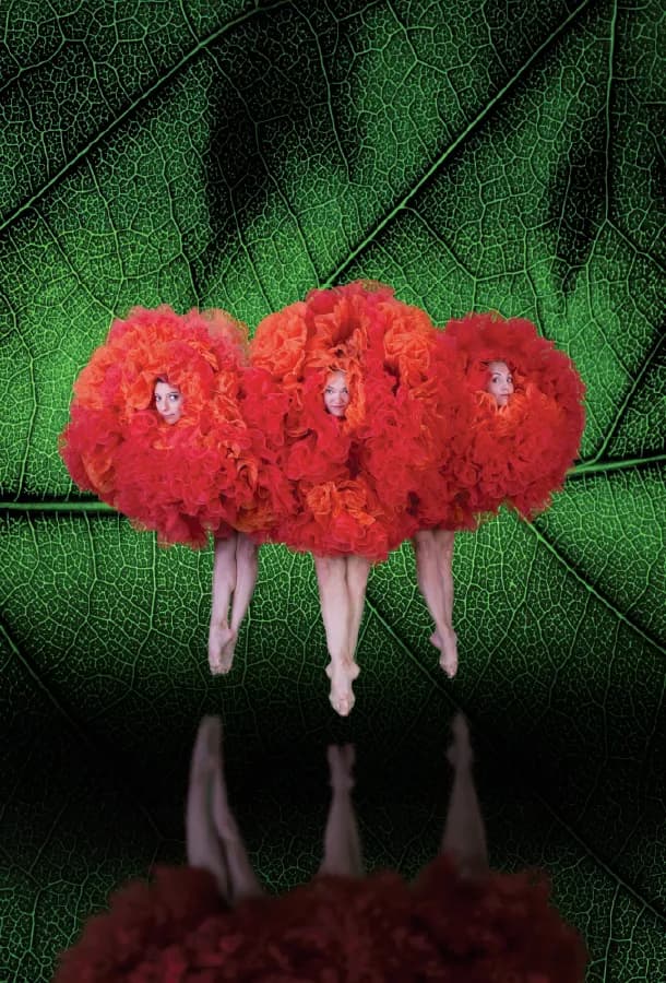 Momix Botanica