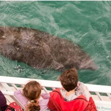 Sensory Saturdays - Manatee Lagoon