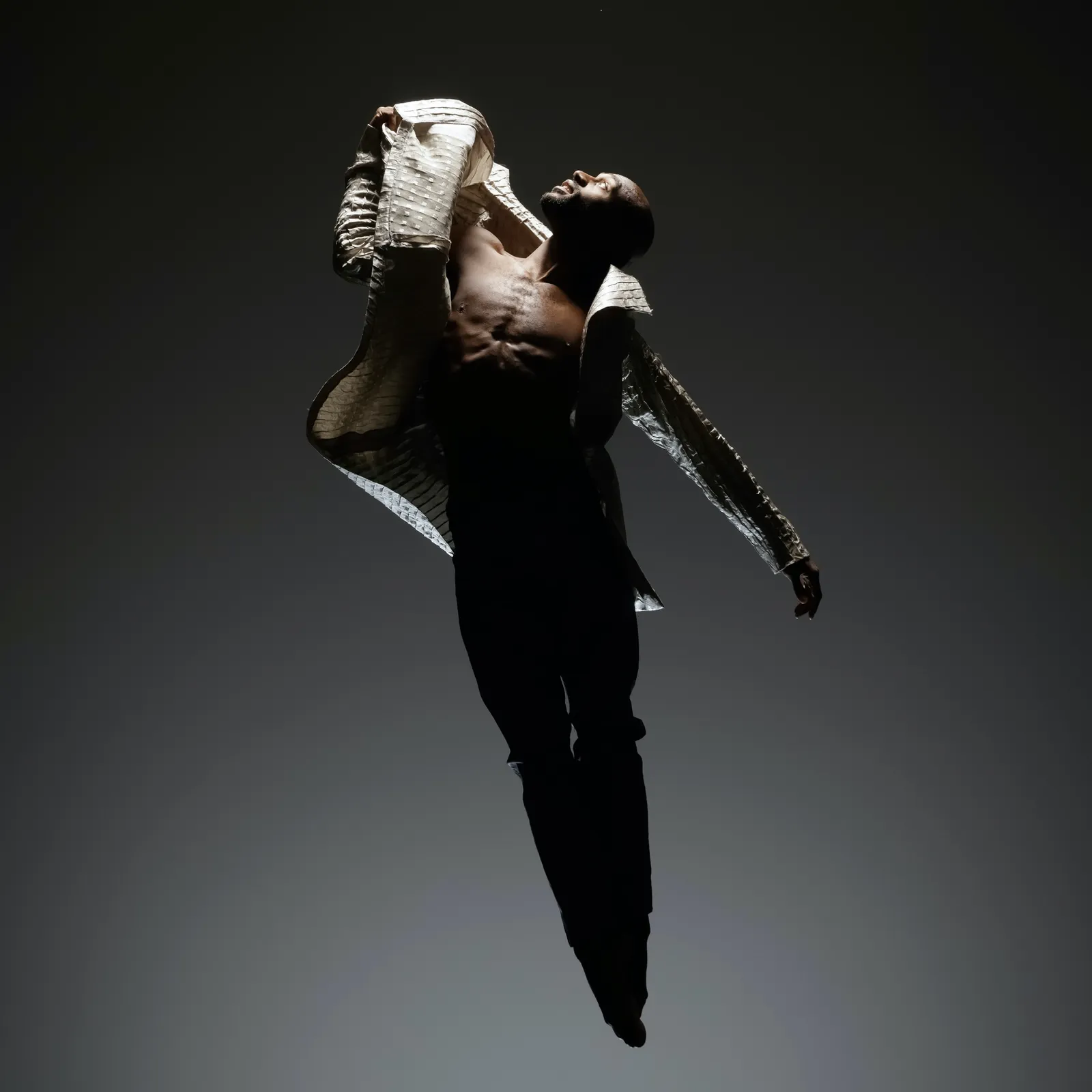 Banyan Dance Festival: Banyan Concert