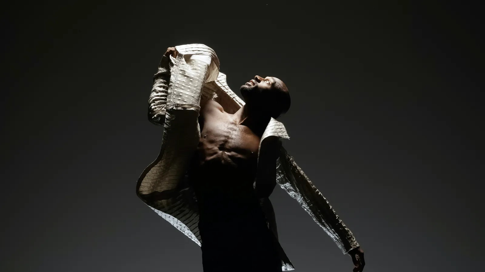 Banyan Dance Festival: Banyan Concert