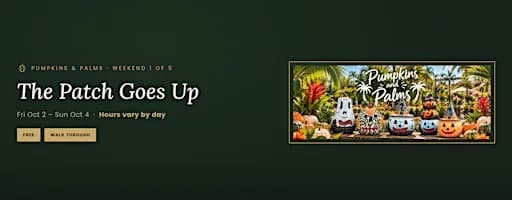 Pumpkins & Palms: The Patch Goes Up