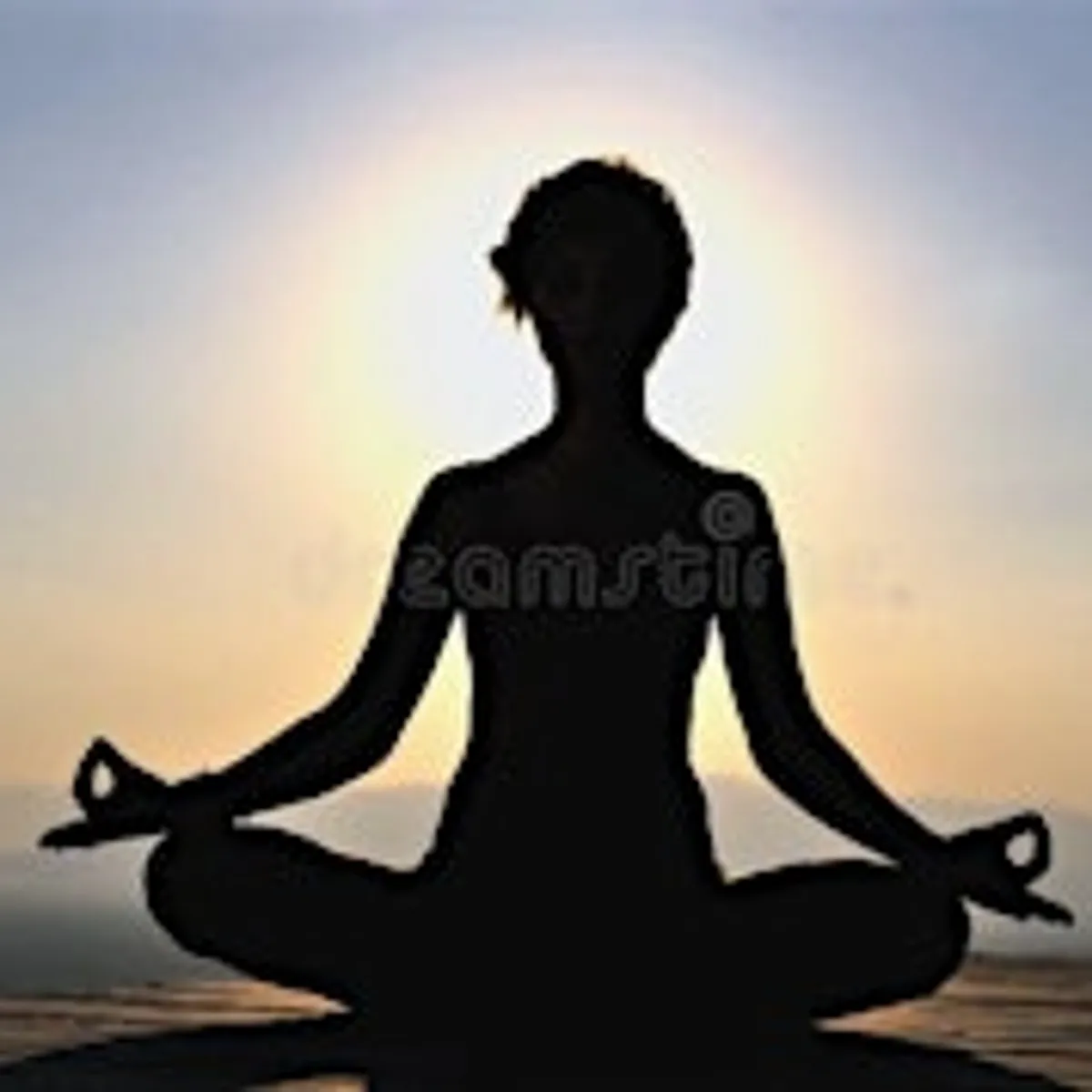 Donation Based Vinyasa Yoga