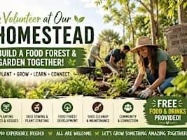 Homestead Volunteer Day – Help Build a Food Forest!
