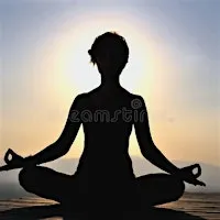 Donation Based Vinyasa Yoga